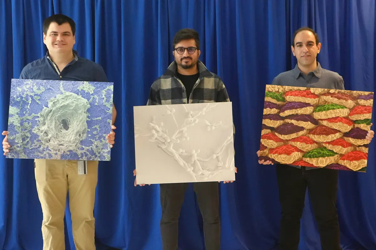 Mert Gezek, Majid Akbar and Nariman Rajabifar hold up images taken with a microscope.